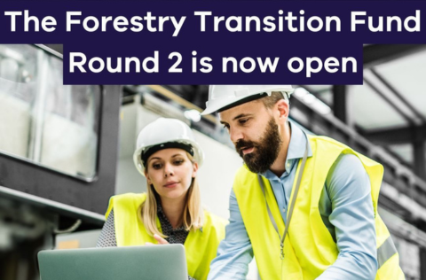 Forestry Transition Round 2.png