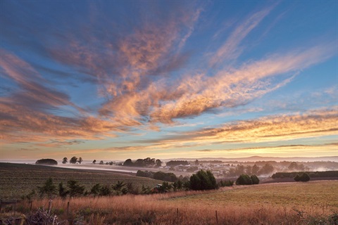 Murrindindi - Sunrise over Kinglake _MS86449.jpg