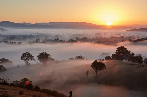 Sunrise over Murrindindi Shire.png