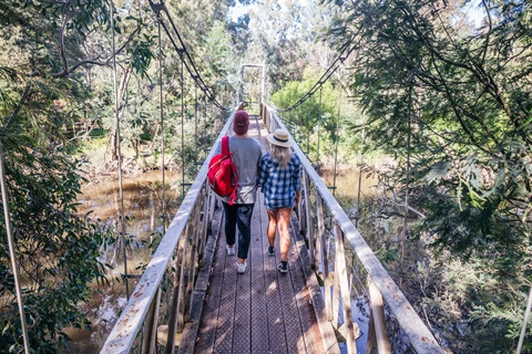 Yea Wetlands Bridge.jpg