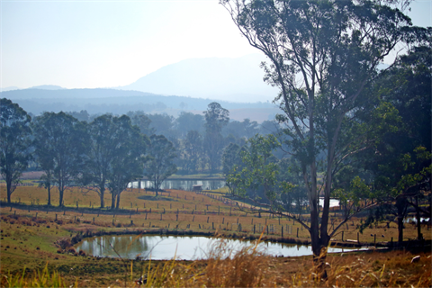 Rural dam paddock.png