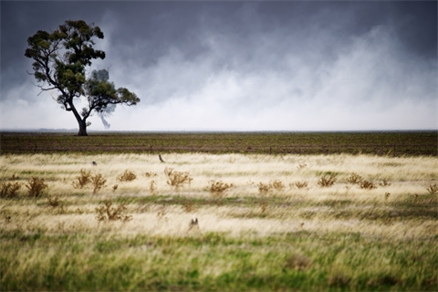 Smoke landscape.png