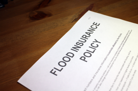 Inquiry into insurers’ responses to 2022 major floods claims .png