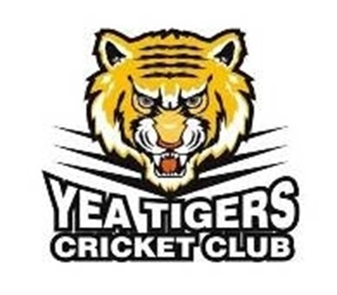 YeaTigersCricketClub