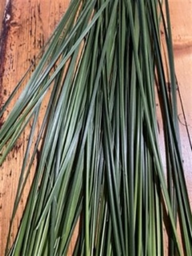 Weaving Vegetation